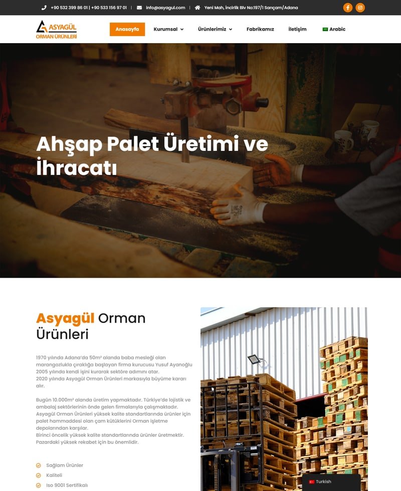 Asyagül Palet