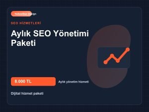 Aylık SEO Yönetimi Paketi - Kapak Görseli
