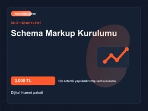 Schema Markup Kurulumu - Kapak Görseli